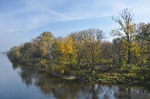 Toruń - Kępa Bazarowa