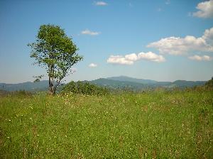 Beskid Żywiecki