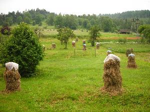 Beskid Żywiecki