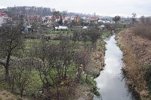 Kwidzyn