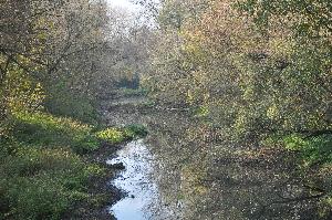 Kępa Bazarowa