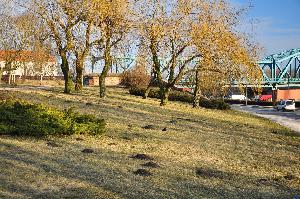 Toruń - Dolina Marzeń