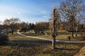 Toruń - Dolina Marzeń