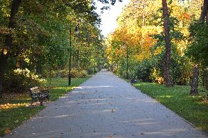 Park na Bydgoskim Przedmieściu