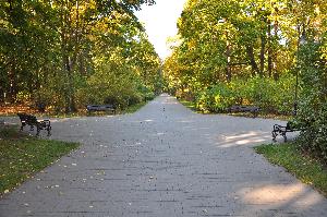 Park na Bydgoskim Przedmieściu