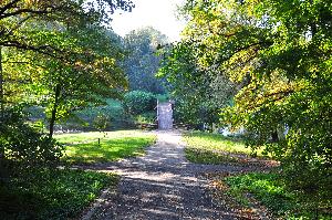 Park na Bydgoskim Przedmieściu