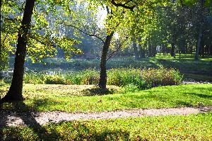 Park na Bydgoskim Przedmieściu