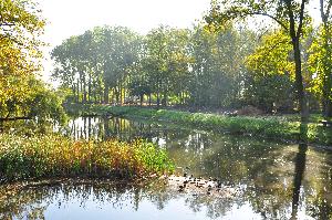 Park na Bydgoskim Przedmieściu