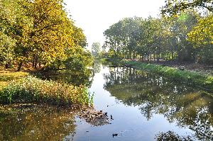 Park na Bydgoskim Przedmieściu