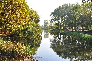 Park na Bydgoskim Przedmieściu