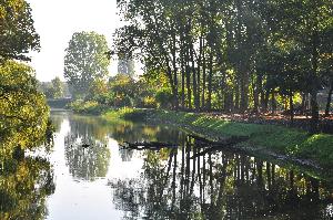 Park na Bydgoskim Przedmieściu