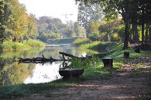 Park na Bydgoskim Przedmieściu