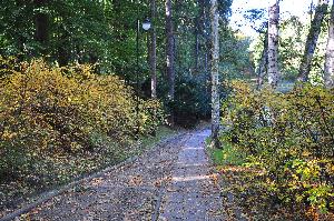 Park na Bydgoskim Przedmieściu