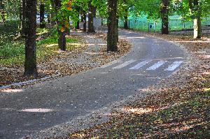 Park na Bydgoskim Przedmieściu