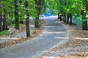 Park na Bydgoskim Przedmieściu