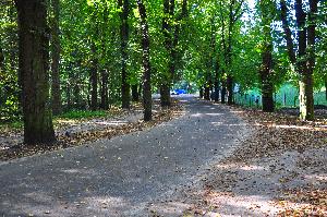 Park na Bydgoskim Przedmieściu