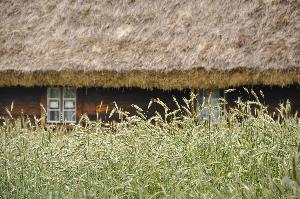 Skansen w Kłóbce - karczma