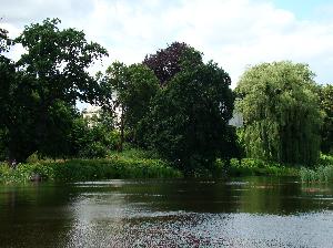 Komierowo - park