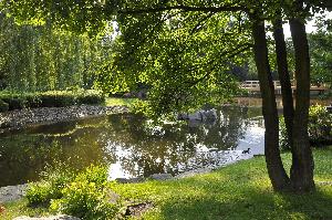 Wrocław - Ogród Japoński