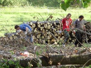 Schronisko dla zwierząt "TARA" - odbudowa zniszczeń po tornadzie