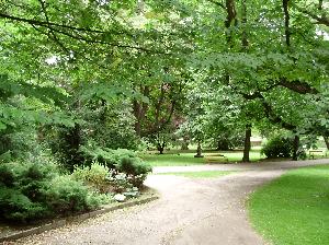 Zabytkowy Park w Koszalinie