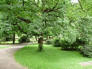 Zabytkowy Park w Koszalinie