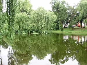 Zabytkowy Park w Koszalinie