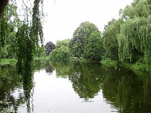 Zabytkowy Park w Koszalinie