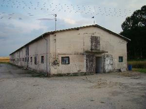 Rogalin (pow. sępoleński) - cielętnik-wolarnia