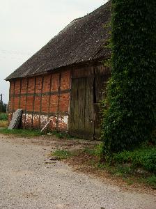 Rogalin (pow. sępoleński) - stodoła