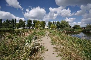 Toruń - Mokre