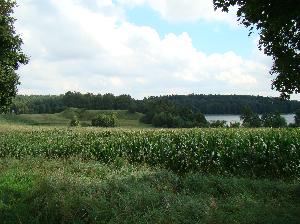 Bobrowo - grodzisko wczesnośredniowieczne