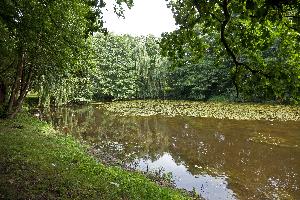 Aleksandrów Kujawski - park przy pałacu Trojanowskich