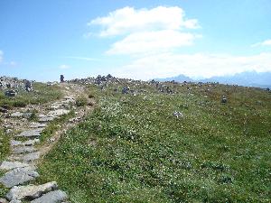 Tatry