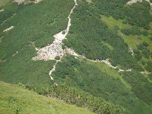 Tatry