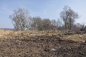 Toruń - budowa mostu drogowego wraz z drogami dojazdowymi