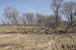 Toruń - budowa mostu drogowego wraz z drogami dojazdowymi