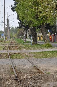 Toruń - budowa mostu drogowego wraz z drogami dojazdowymi