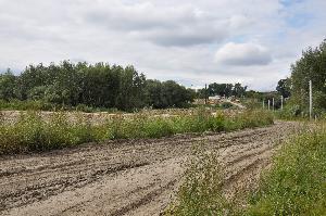 Toruń - budowa mostu drogowego wraz z drogami dojazdowymi