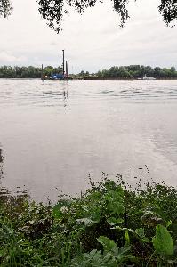 Toruń - budowa mostu drogowego wraz z drogami dojazdowymi