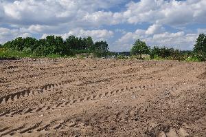 Toruń - budowa mostu drogowego wraz z drogami dojazdowymi