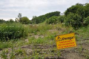 Toruń - budowa mostu drogowego wraz z drogami dojazdowymi