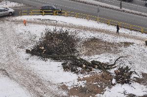 Toruń - budowa mostu drogowego wraz z drogami dojazdowymi