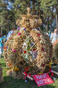 Wieniec dożynkowy