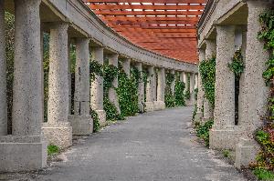 Wrocław - Pergola