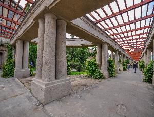 Wrocław - Pergola