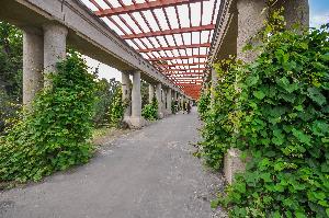 Wrocław - Pergola