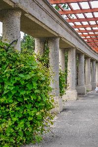 Wrocław - Pergola