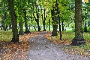 Park zdrojowy