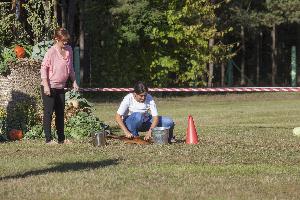 Bruki Unisławskie - Święto Kapusty